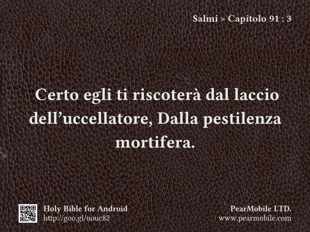 Salmi, Capitolo 91:3